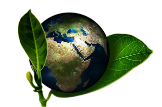 world environment day theme 2019  world environment day presentation  world environment day essay  world environment day 2019 theme and slogan  world environment day speech  world environment day 2018 theme  world environment day 2020 theme  world environment day logo