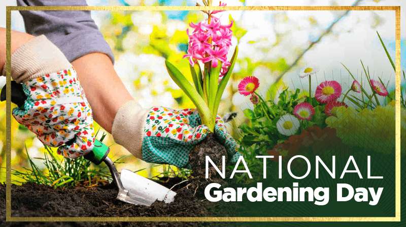 National Gardening Day Wishes Beautiful Image