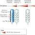 backup sql server with batch script