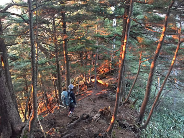 皇海山への登山道