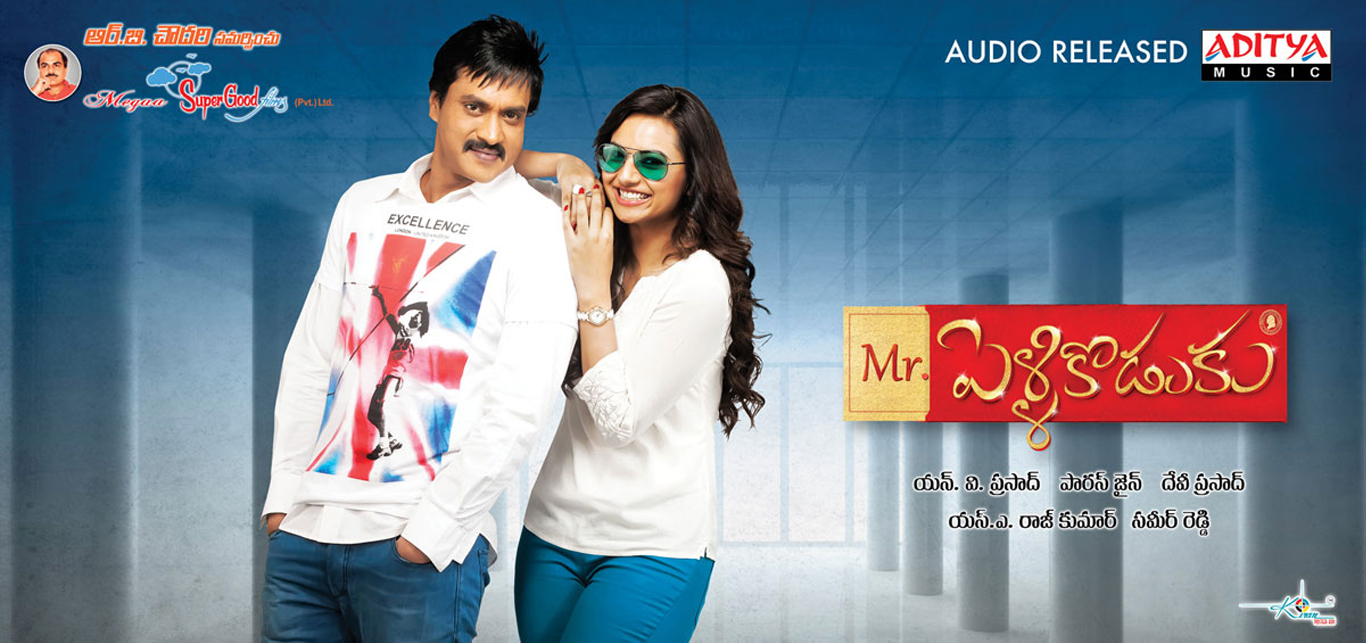 Mr Pellikoduku Audio Released Posters Mr Pellikoduku Audio Released Posters