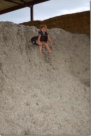 Cotton14