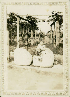 Orchard at the Old Farm