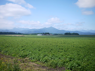 十勝平野に迫る日高山脈