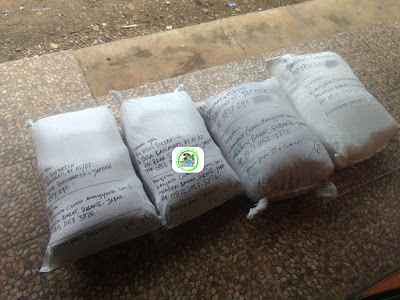 Benih padi yang dibeli   EUIS SUTARSIH Sukoharjo, Jateng  (Setelah packing karung ). 