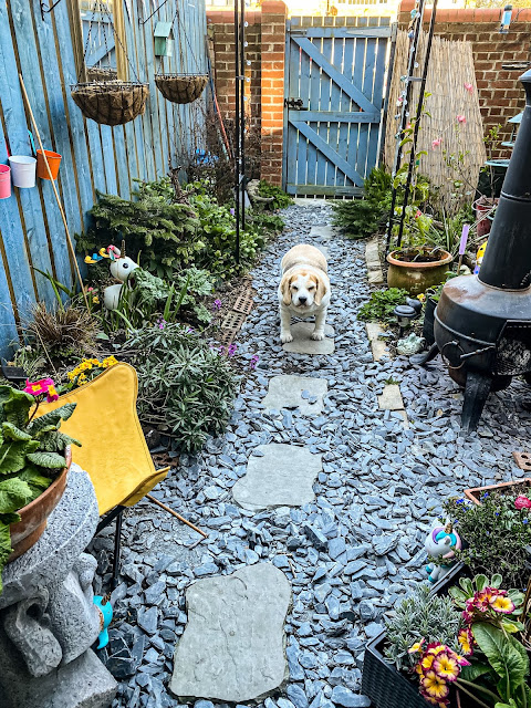 Magical small garden ideas, mandy charlton, photographer, writer, blogger, gardening, small urban spaces