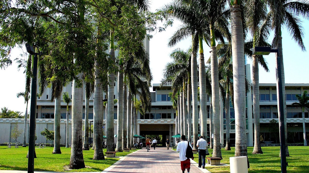 University Of Miami Undergraduate Programs