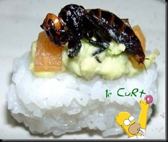 Sushi de Inseto 11