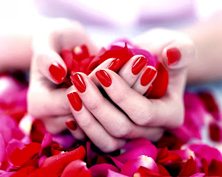 Red Flowers On Hand HD Wallpaper 