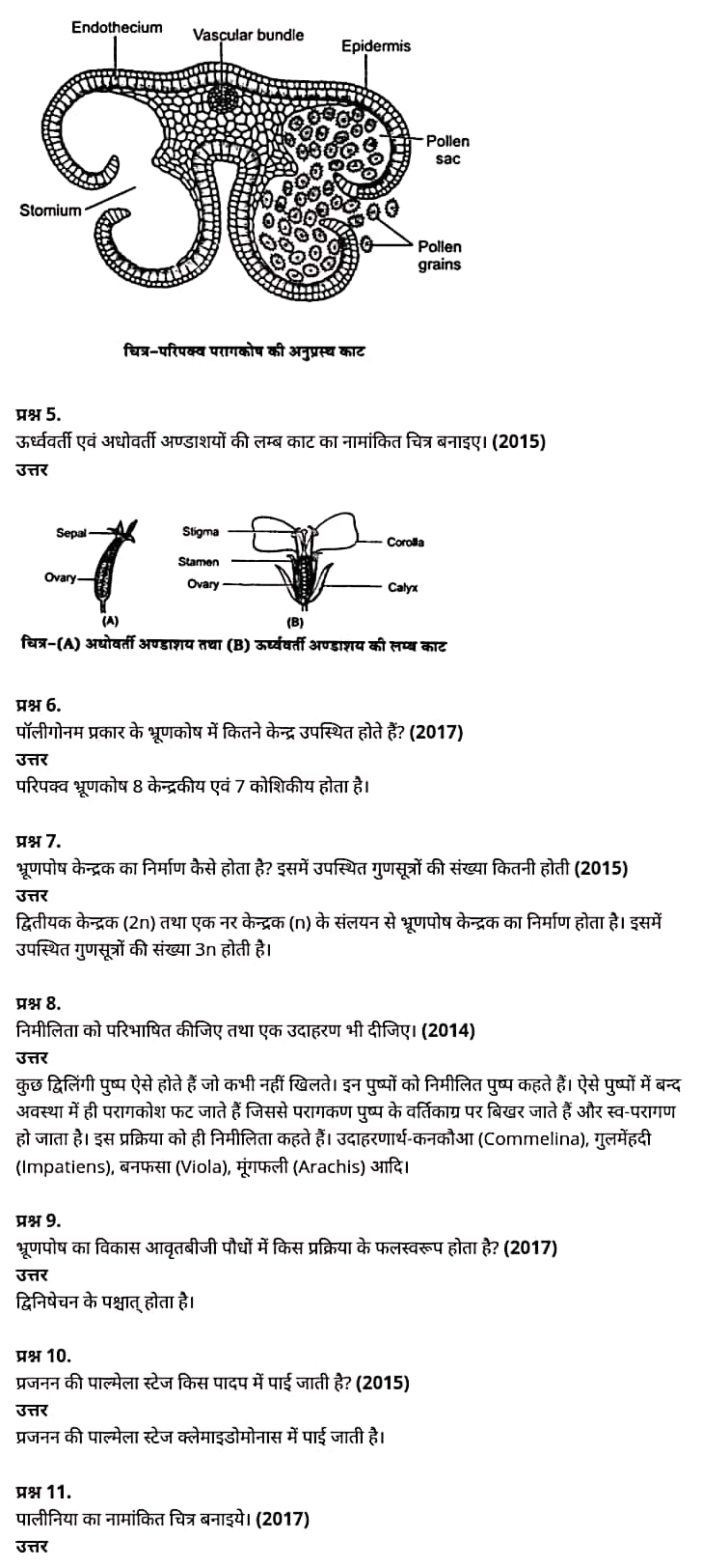 class 12   Biology   Chapter 2,  class 12   Biology   Chapter 2 ncert solutions in hindi,  class 12   Biology   Chapter 2 notes in hindi,  class 12   Biology   Chapter 2 question answer,  class 12   Biology   Chapter 2 notes,  12   class Biology   Chapter 2 in hindi,  class 12   Biology   Chapter 2 in hindi,  class 12   Biology   Chapter 2 important questions in hindi,  class 12   Biology    notes in hindi,   class 12   Biology   Chapter 2 test,  class 12   Biology   Chapter 2 pdf,  class 12   Biology   Chapter 2 notes pdf,  class 12   Biology   Chapter 2 exercise solutions,  class 12   Biology   Chapter 2, class 12   Biology   Chapter 2 notes study rankers,  class 12   Biology   Chapter 2 notes,  class 12   Biology   notes,   Biology    class 12   notes pdf,  Biology   class 12   notes 2021 ncert,  Biology   class 12   pdf,  Biology    book,  Biology   quiz class 12  ,   12  th Biology    book up board,  up board 12  th Biology   notes,   कक्षा 12   जीव विज्ञान  अध्याय 2,  कक्षा 12   जीव विज्ञान  का अध्याय 2 ncert solution in hindi,  कक्षा 12   जीव विज्ञान  के अध्याय 2 के नोट्स हिंदी में,  कक्षा 12   का जीव विज्ञान  अध्याय 2 का प्रश्न उत्तर,  कक्षा 12   जीव विज्ञान  अध्याय 2 के नोट्स,  12   कक्षा जीव विज्ञान  अध्याय 2 हिंदी में,  कक्षा 12   जीव विज्ञान  अध्याय 2 हिंदी में,  कक्षा 12   जीव विज्ञान  अध्याय 2 महत्वपूर्ण प्रश्न हिंदी में,  कक्षा 12   के जीव विज्ञान  के नोट्स हिंदी में,  जीव विज्ञान  कक्षा 12   नोट्स pdf,  जीव विज्ञान  कक्षा 12   नोट्स 2021 ncert,  जीव विज्ञान  कक्षा 12   pdf,  जीव विज्ञान  पुस्तक,  जीव विज्ञान  की बुक,  जीव विज्ञान  प्रश्नोत्तरी class 12  , 12   वीं जीव विज्ञान  पुस्तक up board,  बिहार बोर्ड 12  पुस्तक वीं जीव विज्ञान  नोट्स,    12th Biology    book in hindi, 12  th Biology    notes in hindi, cbse books for class 12  , cbse books in hindi, cbse ncert books, class 12   Biology   notes in hindi,  class 12   hindi ncert solutions, Biology   2020, Biology   2021, Biology   2022, Biology   book class 12  , Biology    book in hindi, Biology   class 12   in hindi, Biology   notes for class 12   up board in hindi, ncert all books, ncert app in hindi, ncert book solution, ncert books class 10, ncert books class 12  , ncert books for class 7, ncert books for upsc in hindi, ncert books in hindi class 10, ncert books in hindi for class 12 Biology  , ncert books in hindi for class 6, ncert books in hindi pdf, ncert class 12 hindi book, ncert english book, ncert Biology    book in hindi, ncert Biology    books in hindi pdf, ncert Biology  class 12  ,   ncert in hindi,  old ncert books in hindi, online ncert books in hindi,  up board 12  th, up board 12  th syllabus, up board class 10 hindi book, up board class 12   books, up board class 12   new syllabus, up board intermediate Biology    syllabus, up board intermediate syllabus 2021, Up board Master 2021, up board model paper 2021, up board model paper all subject, up board new syllabus of class 12  th Biology  ,   12 वीं जीव विज्ञान   पुस्तक हिंदी में, 12  वीं भौतिक विज्ञान  नोट्स हिंदी में, कक्षा 12   के लिए सीबीएससी पुस्तकें, कक्षा 12   जीव विज्ञान  नोट्स हिंदी में, कक्षा 12   हिंदी एनसीईआरटी समाधान,  जीव विज्ञान  बुक इन हिंदी, भौतिक विज्ञान  क्लास 12   हिंदी में,  एनसीईआरटी भौतिक विज्ञान  की किताब हिंदी में,  बोर्ड 12 वीं तक, 12 वीं तक की पाठ्यक्रम, बोर्ड कक्षा 10 की हिंदी पुस्तक , बोर्ड की कक्षा 12   की किताबें, बोर्ड की कक्षा 12 की नई पाठ्यक्रम, बोर्ड जीव विज्ञान  2020, यूपी   बोर्ड जीव विज्ञान  2021, यूपी  बोर्ड जीव विज्ञान  2022, यूपी  बोर्ड भौतिक विज्ञान  2023, यूपी  बोर्ड इंटरमीडिएट भौतिक विज्ञान  सिलेबस, यूपी  बोर्ड इंटरमीडिएट सिलेबस 2021, यूपी  बोर्ड मास्टर 2021, यूपी  बोर्ड मॉडल पेपर 2021, यूपी  मॉडल पेपर सभी विषय, यूपी  बोर्ड न्यू क्लास का सिलेबस  12   वीं भौतिक विज्ञान, अप बोर्ड पेपर 2021, यूपी बोर्ड सिलेबस 2021, यूपी बोर्ड सिलेबस 2022,