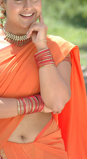 indian traditional sexy dress