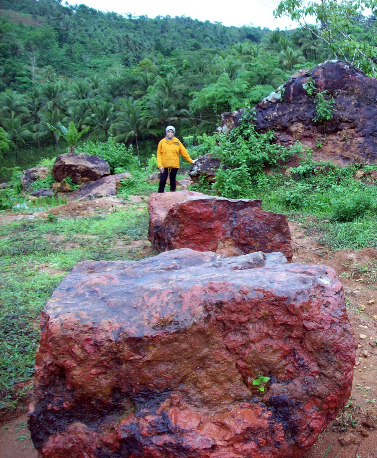 Jejak bumi: Mimpi Taman Jasper di Tasikmalaya: Akankah 