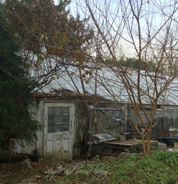 an old greenhouse