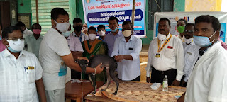 Pudukkottai city rotary club, Pudukkottai