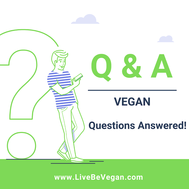 "Vegan Questions"