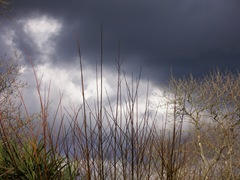Dramatic dark sky.