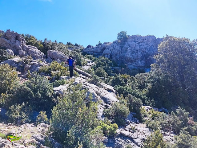 Circular a Peña Corva desde el Área Recreativa Gil Cobo (Sierra de Las Villas)