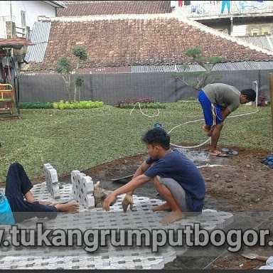 www.tukangrumputbogor.com