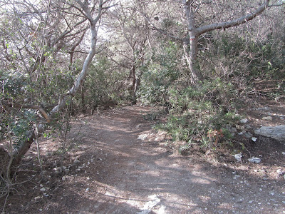 GR-92, Torredembarra a Tarragona, camí entre boscos i penyasegats