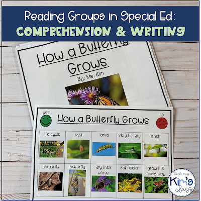 Reading Groups in Special Education: Writing and Comprehension