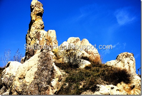 DSC_0795_Fotor