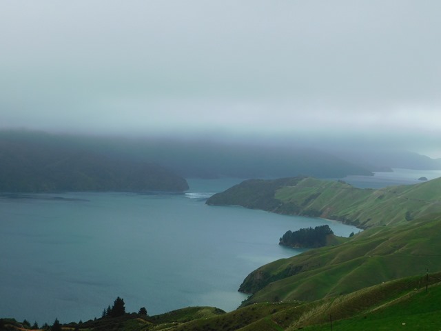 DSCN8245