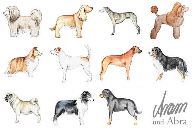 Illustrationen für Hundeblogger: Hunderassen