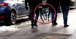 Ένας ρομποτικός σκύλος της Boston Dynamics βγήκε σε περιπολία στον Μπρονξ της Νέας Υόρκης, μαζί με αστυνομικούς!!! Οι κάτοικοι που καταγράφο...