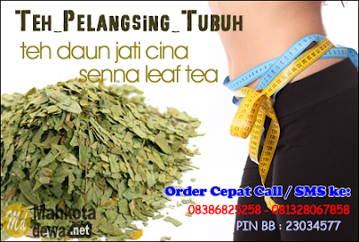 Teh Daun Jati Cina, Senna Leaf Tea