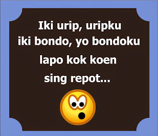 "kepo"