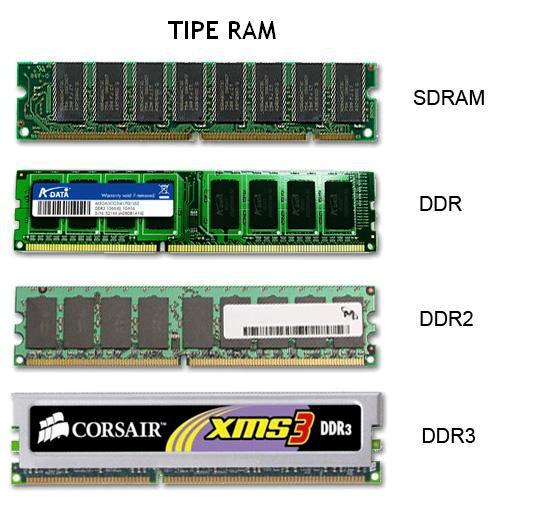 tampilan fisik dari jenis-jenis RAM