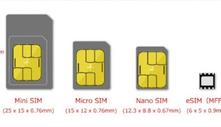 What is e-sim