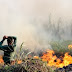 FOGO NA RESERVA ECOLÓGICA EM SÃO FRANCISCO DE ITABAPOANA