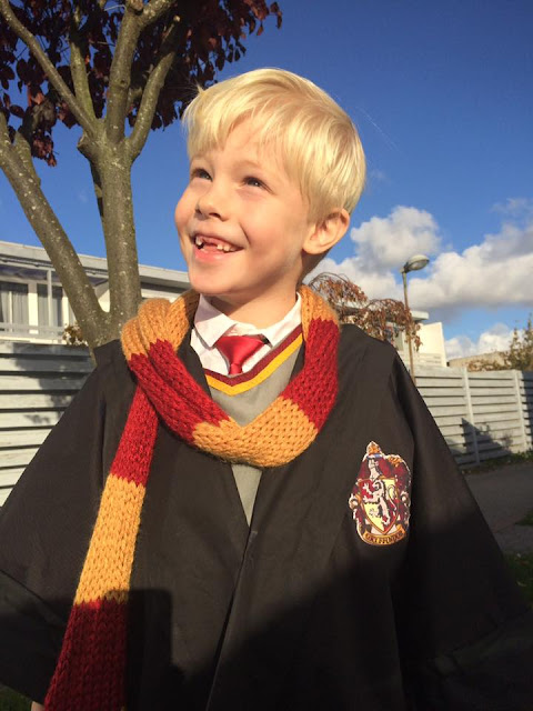 Harry Potter Kostume hjemmelavet