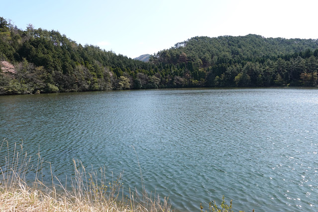 鳥取県西伯郡大山町鈑戸 種原集落の溜池