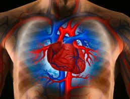 Causes and Home Remedies for Heart Disease