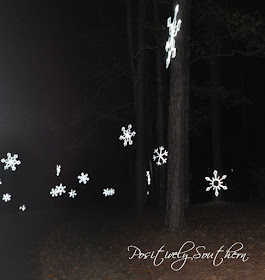 Callaway Gardens Fantasy in Lights