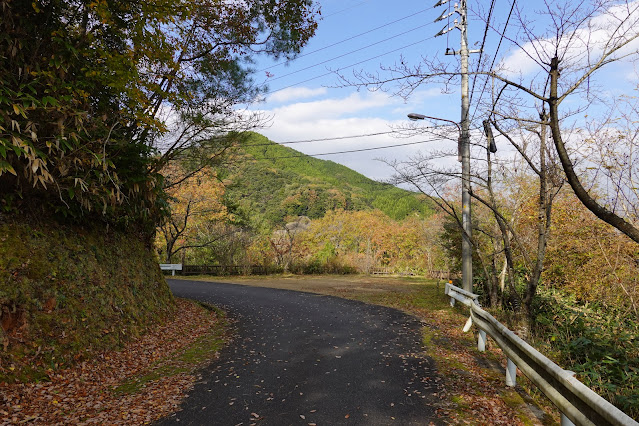 鳥取県西伯郡南部町下中谷 緑水湖 遊歩道