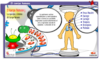 http://www.educa.jcyl.es/zonaalumnos/es/recursos/aplicaciones-infinity/aplicaciones/conoce-cuerpo-humano