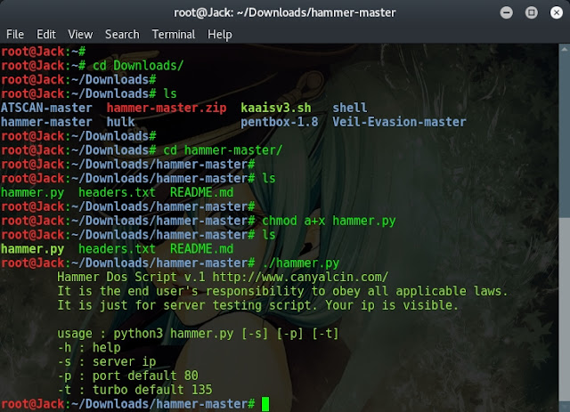 Cara DDoS dengan Hammer Script di Kali Linux