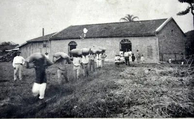 Engenho de beneficiamento de arroz, em 1933.