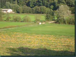 DSC06032