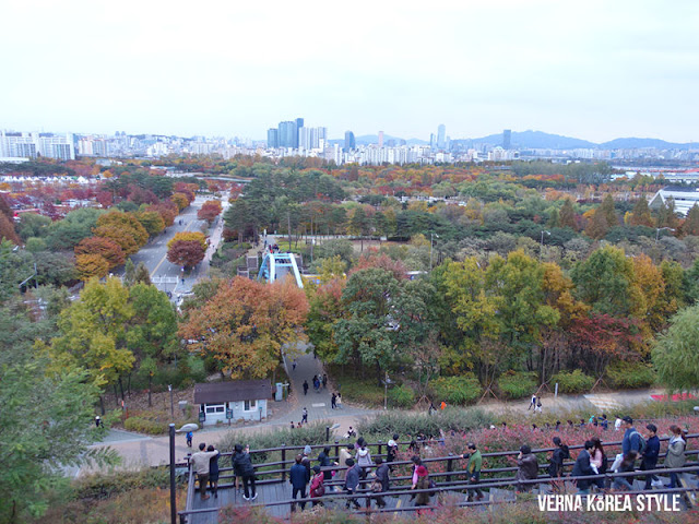 韓國, 景點, 首爾, 賞楓, 夜景, 天空公園,藍天公園,芒草