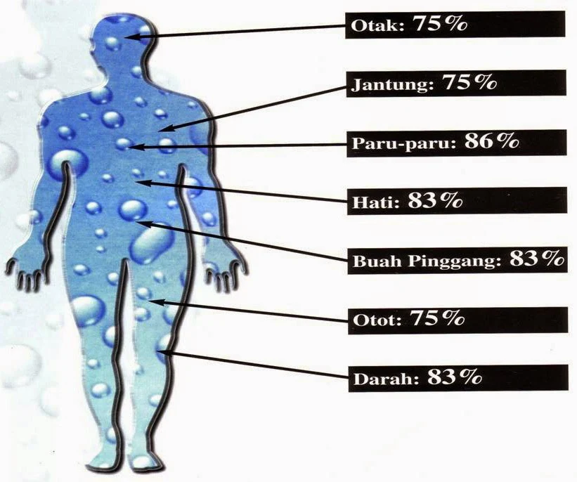 inilah deskripsi manfaat air hangat untuk kesehatan organ tubuh