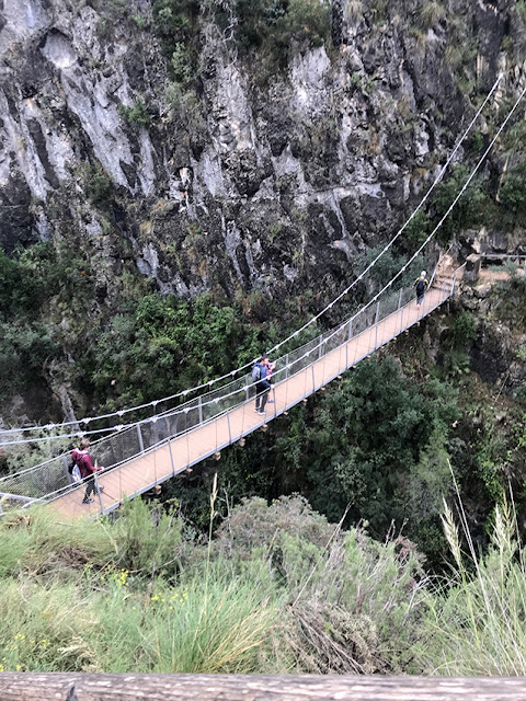 Primera pasarela sobre el Rio Turia