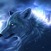 [Download 35+] Werewolf Wallpapers For Kids