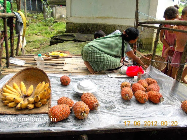 meghalaya village life 