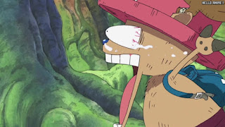 ワンピース アニメ 空島 スカイピア 168話 チョッパー Tony Tony Chopper | ONE PIECE Episode 168 Skypiea