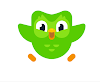 Duolingo Review | Login | Language|App And Profile – What is Duolingo Memes, Birds, Duolingo owl