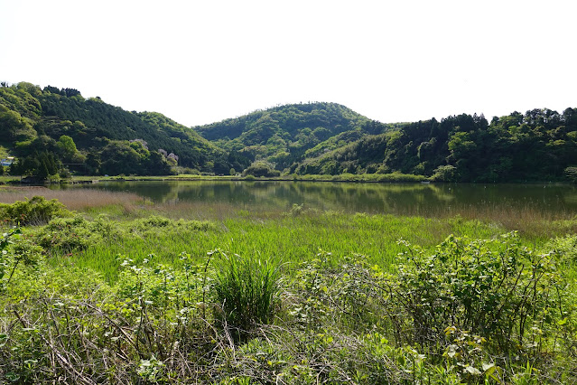 東郷湖一周ウォーキングコースからの眺めが綺麗です